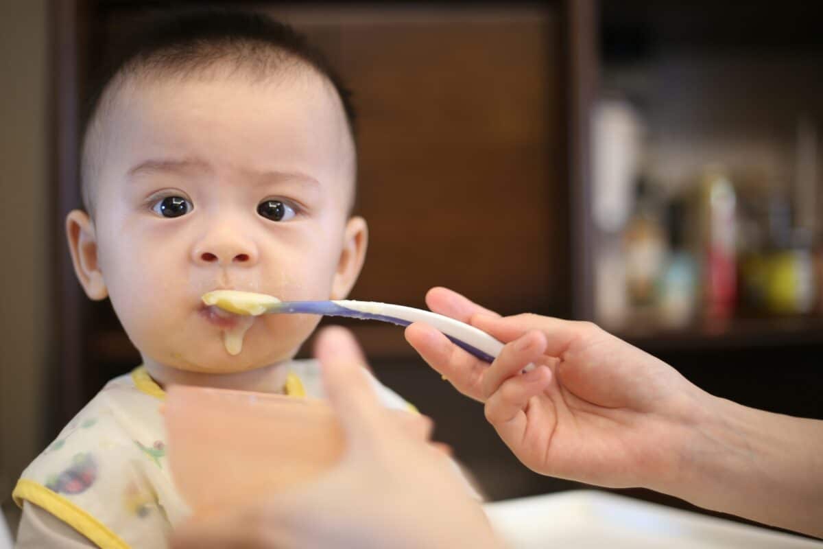 donner à manger à un bébé