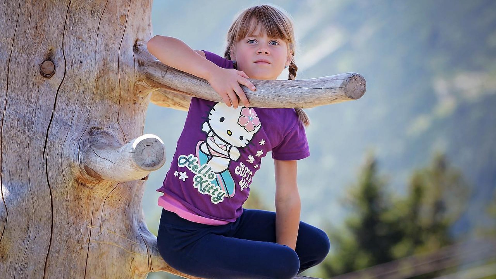 Pourquoi recourir aux services d'une entreprise proposant des activités d'accrobranche en Normandie ?